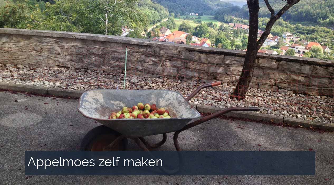 appelmoes zelf maken