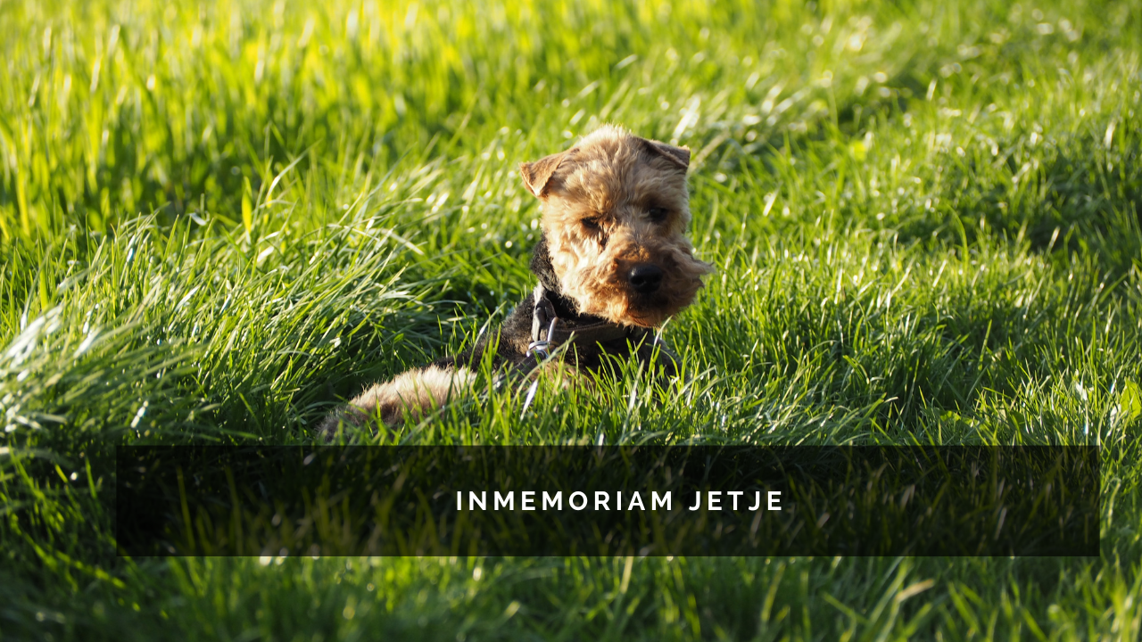 Inmemoriam Jetje