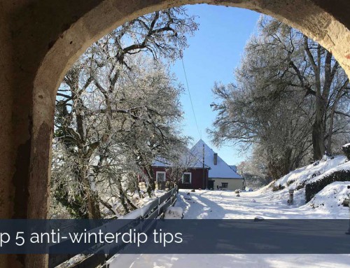 Top 5 anti-winterdip tips