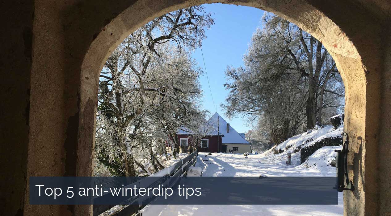 Top 5 anti-winterdip tips