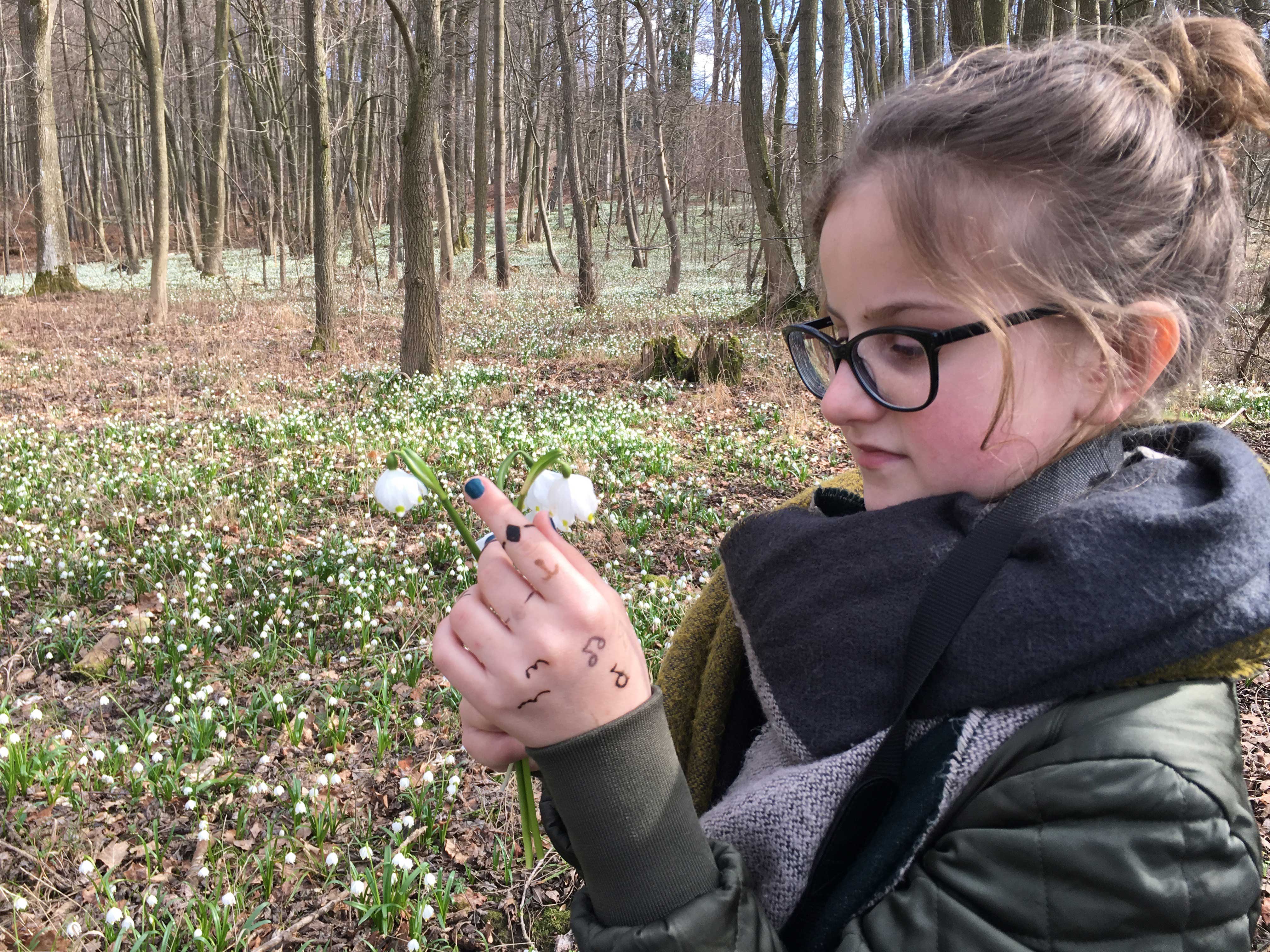 Märzenbecherwald Ettenstatt