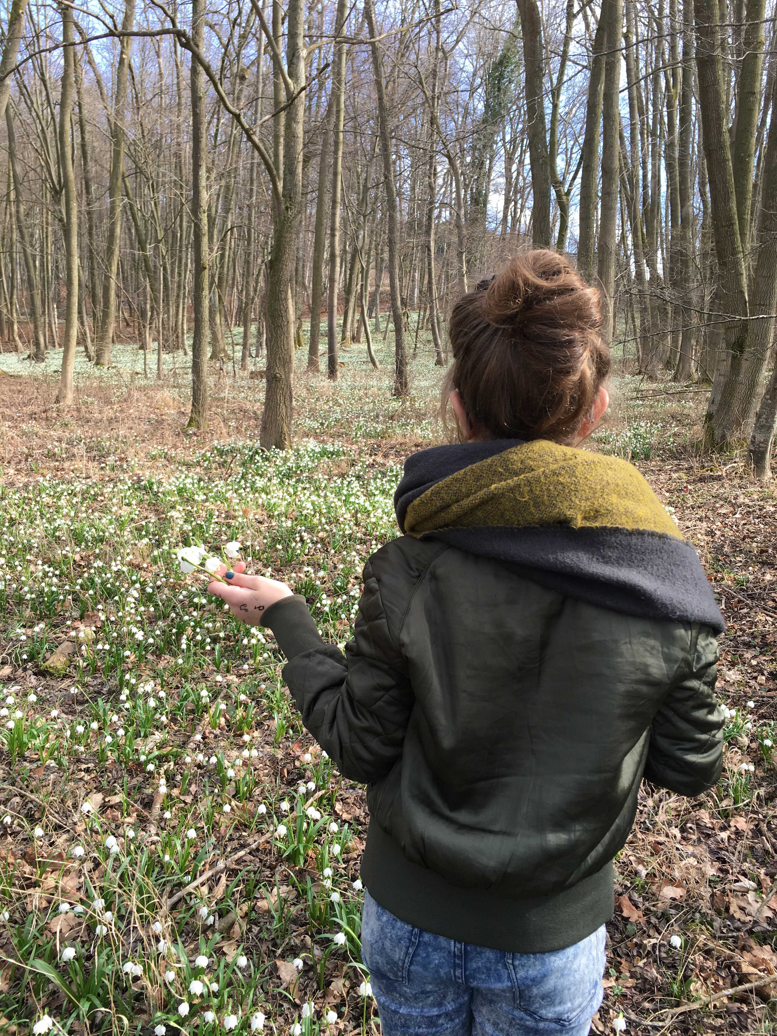 Märzenbecherwald Ettenstatt