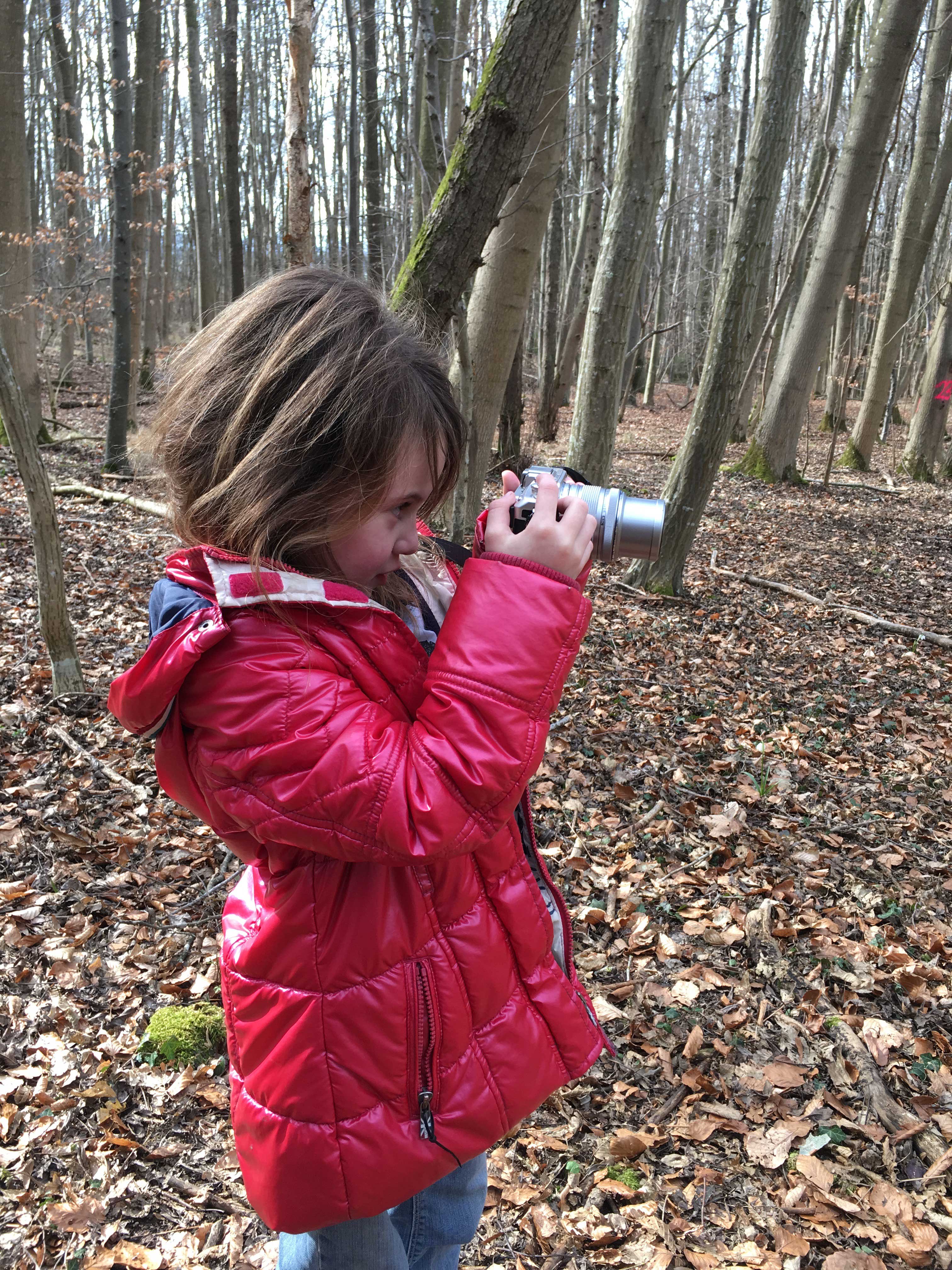 Märzenbecherwald Ettenstatt