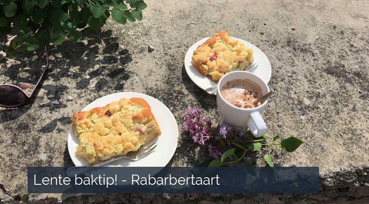 Lente baktip - Rabarbertaart