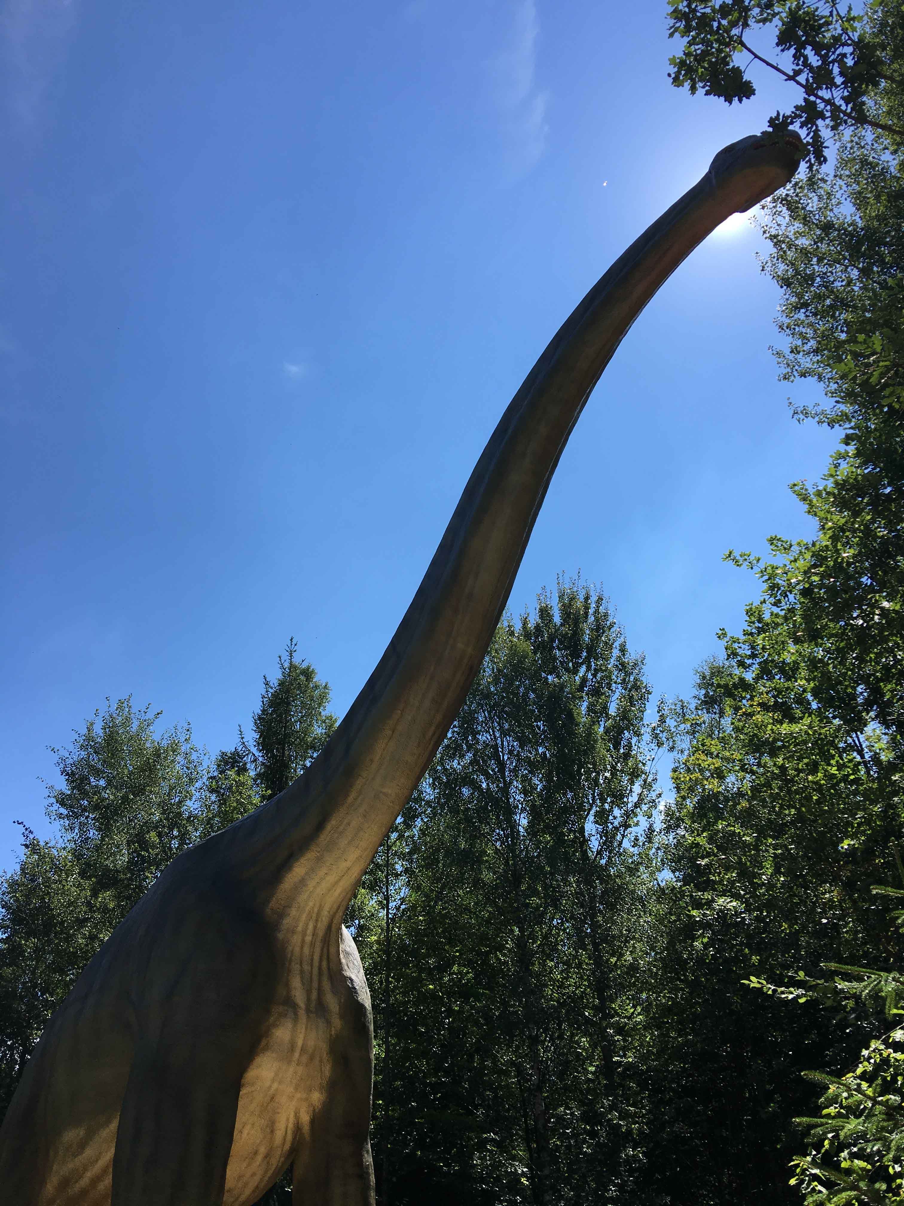 Dinosaurier park - Dinopark Beieren Duitsland