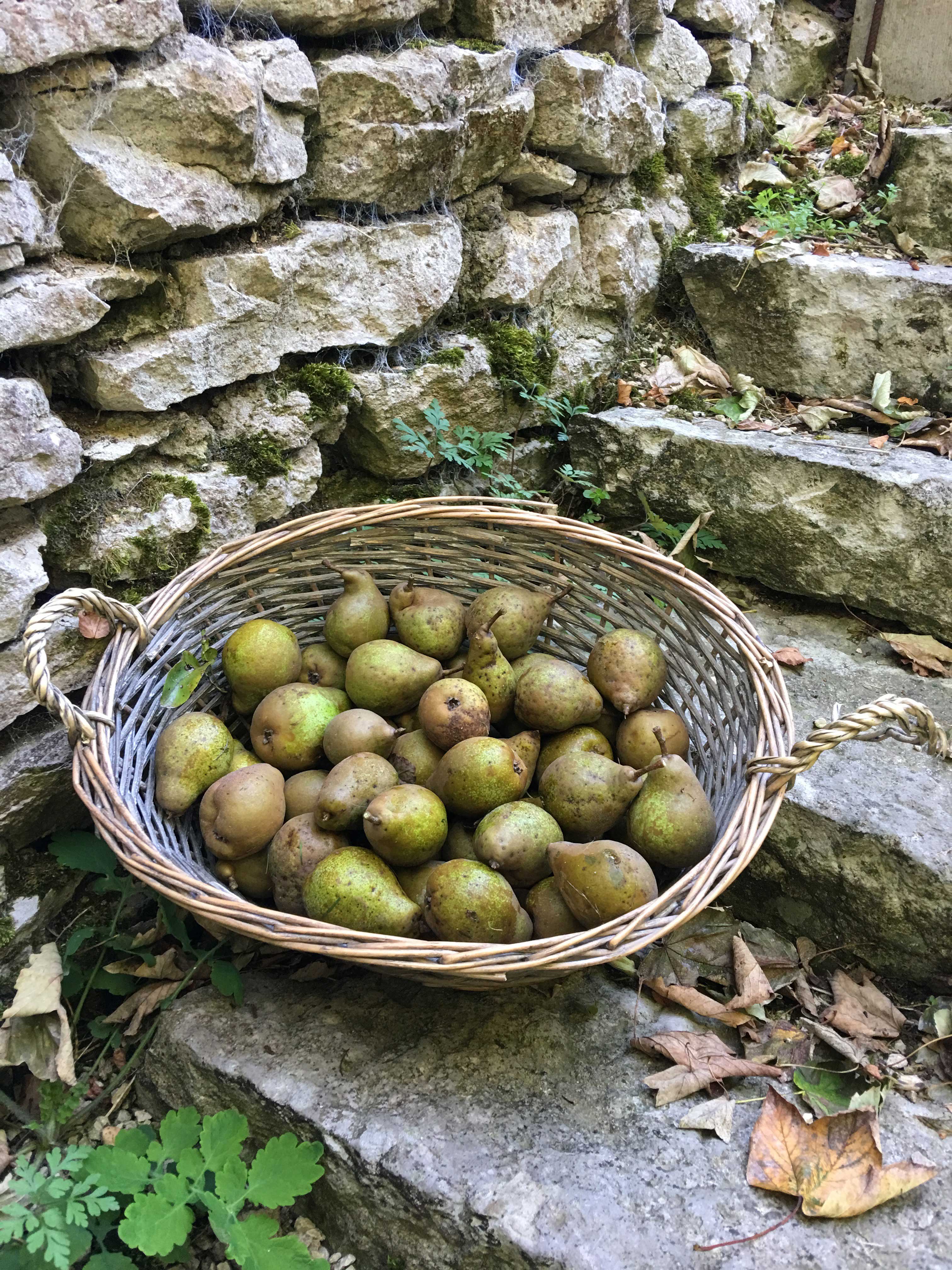 Herfstvakantie in een kasteeltoren in Beieren!