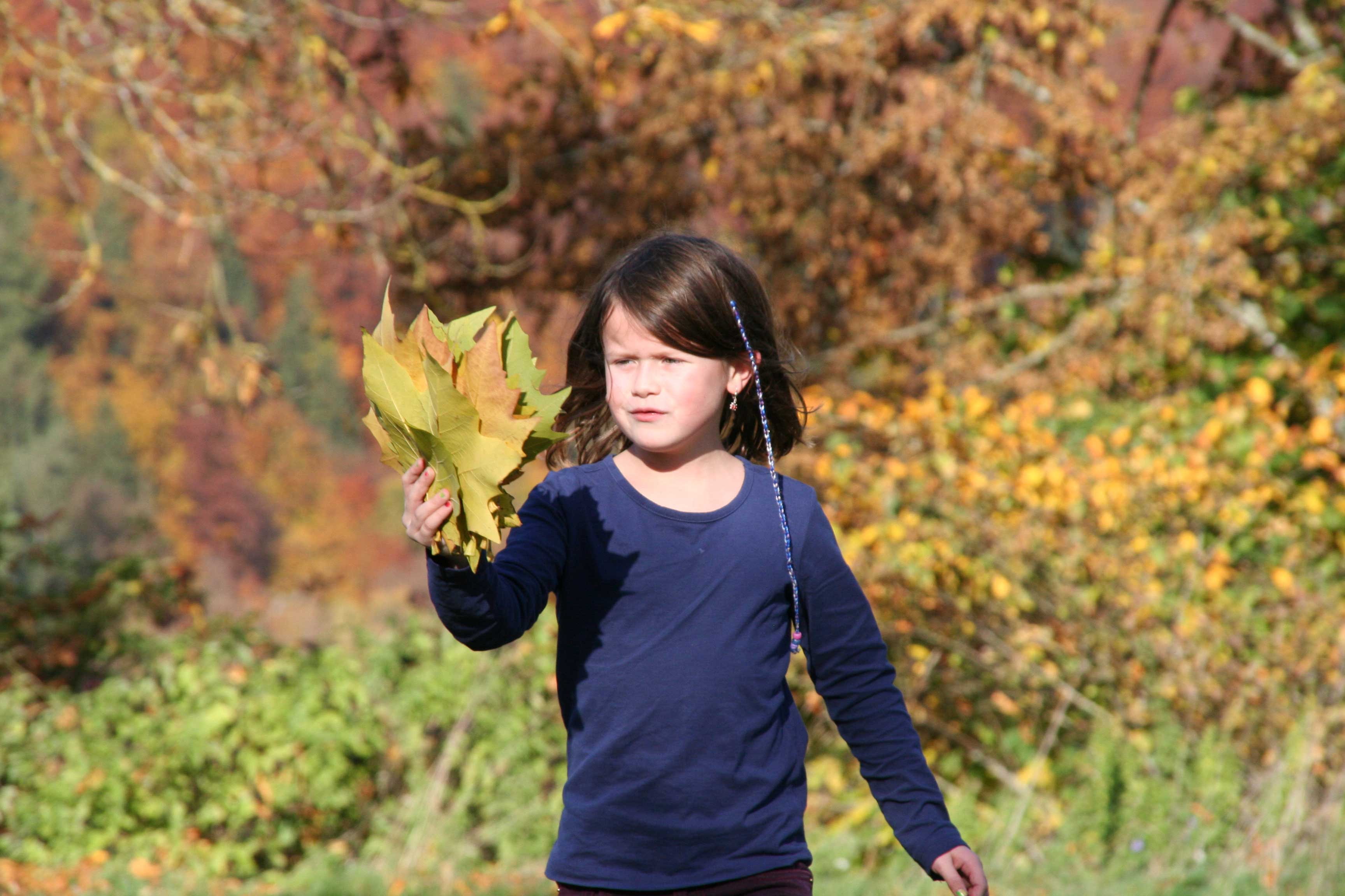 Herfst in Beieren 