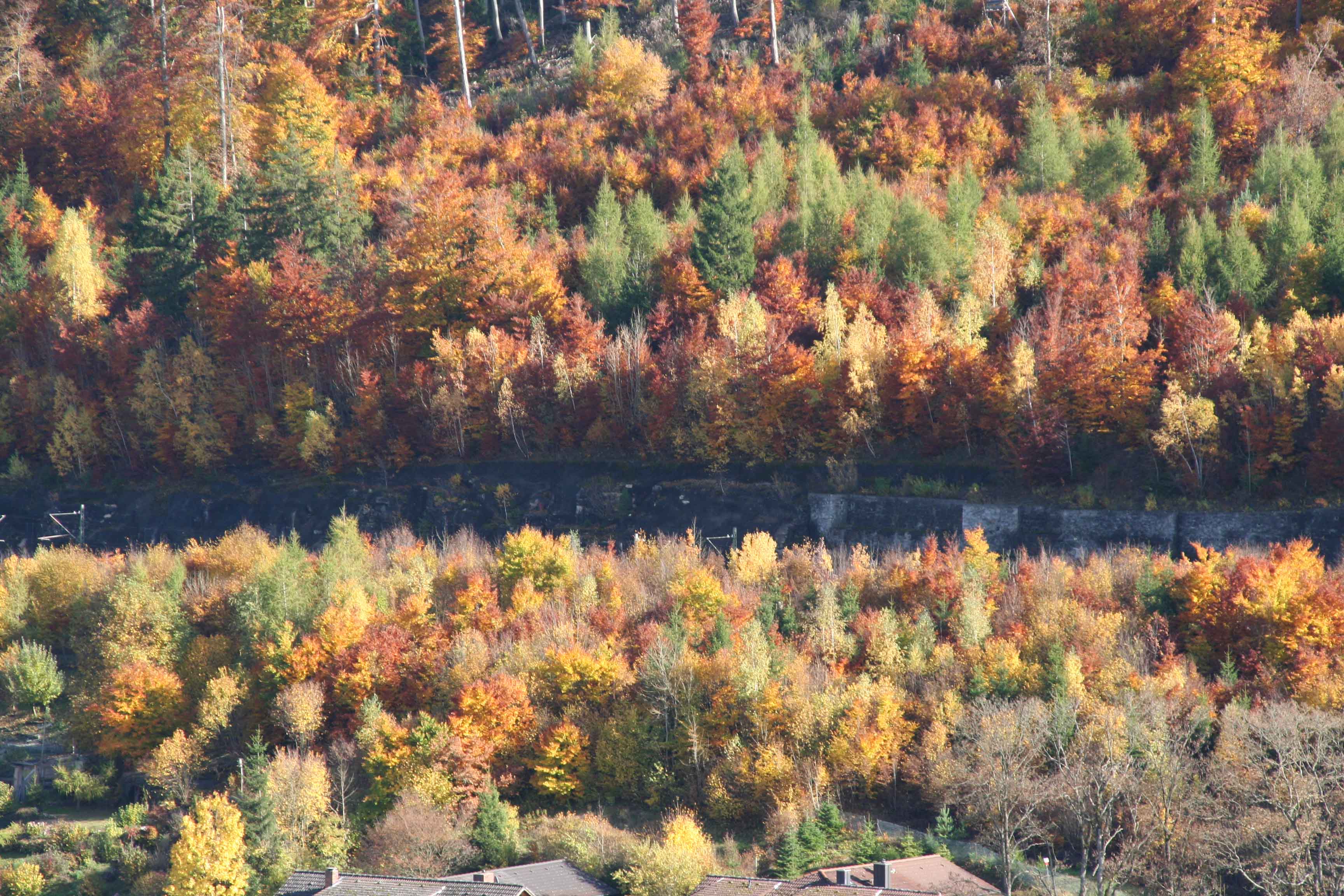 Herfst in Beieren