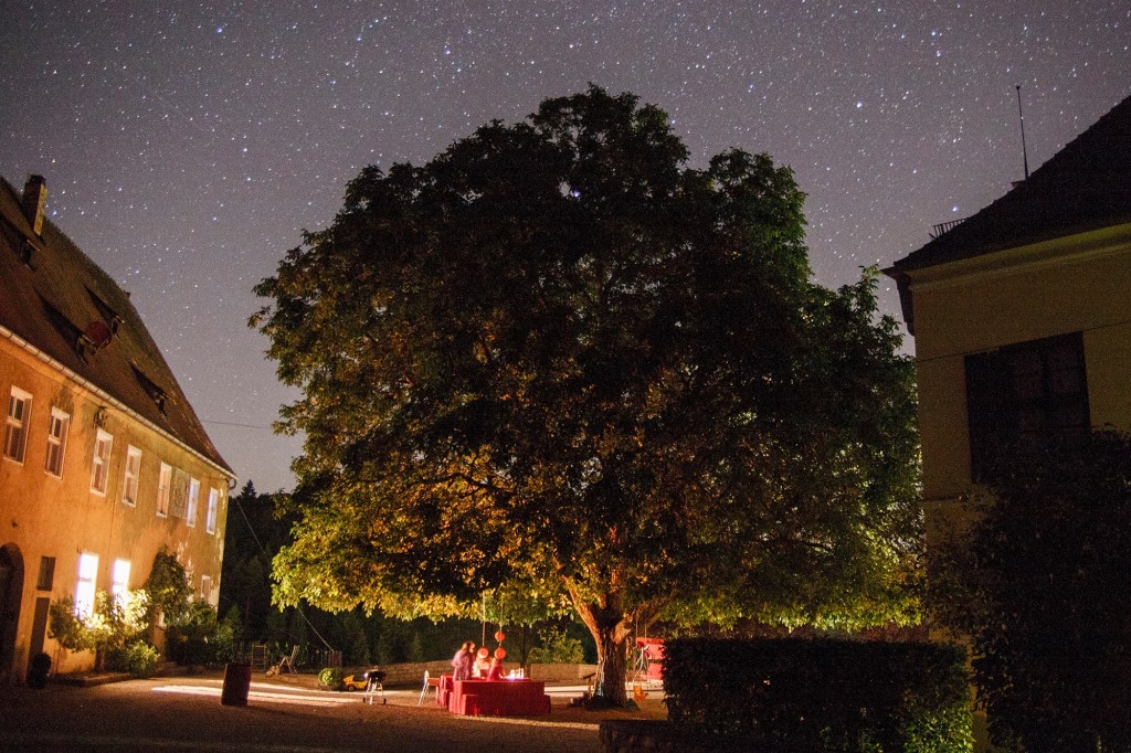 walnotenboom op Schloss Mohren Bayern und das Altuehltal mit kleinen kindern