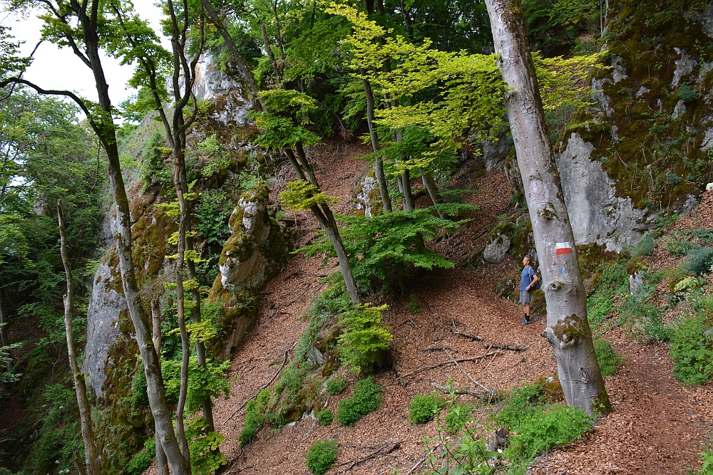 Jägersteig Wandelen in het natuurpark Altmühltal