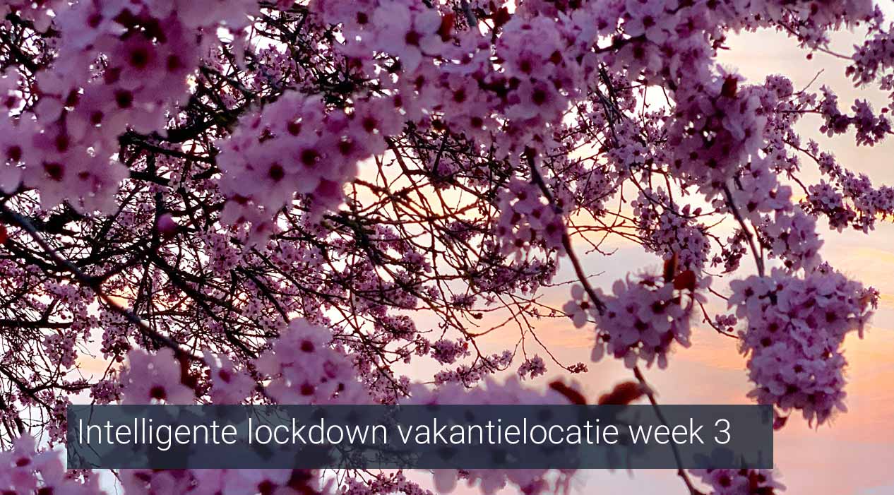 Intelligente lockdown vakantielocatie week 3