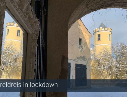 Wereldreis in lockdown