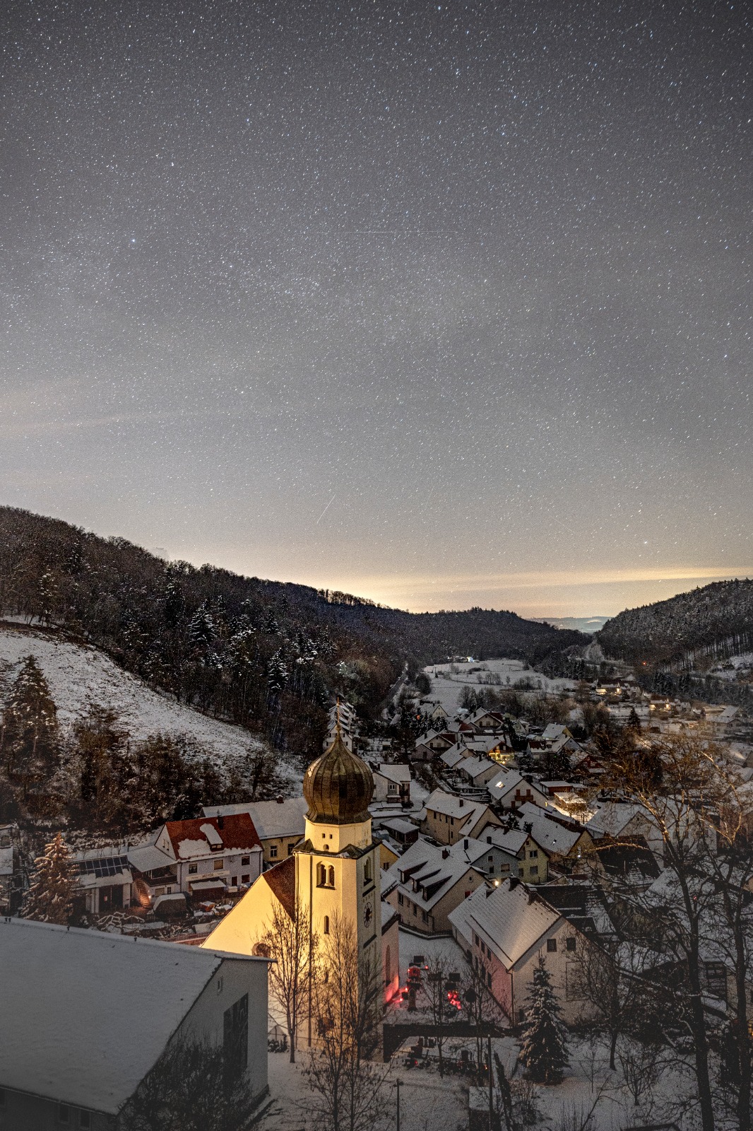 Möhren bei Nacht