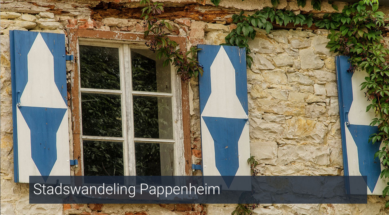 Stadswandeling Pappenheim